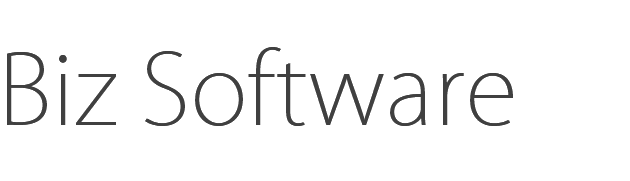 Biz Software - Logo